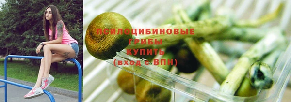 COCAINE Богородицк