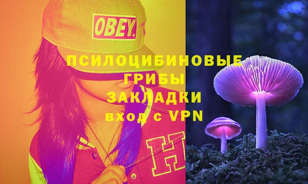 прущий лед Бердск