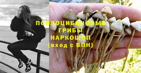 ECSTASY Белокуриха