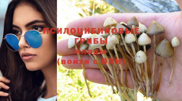 COCAINE Богородицк
