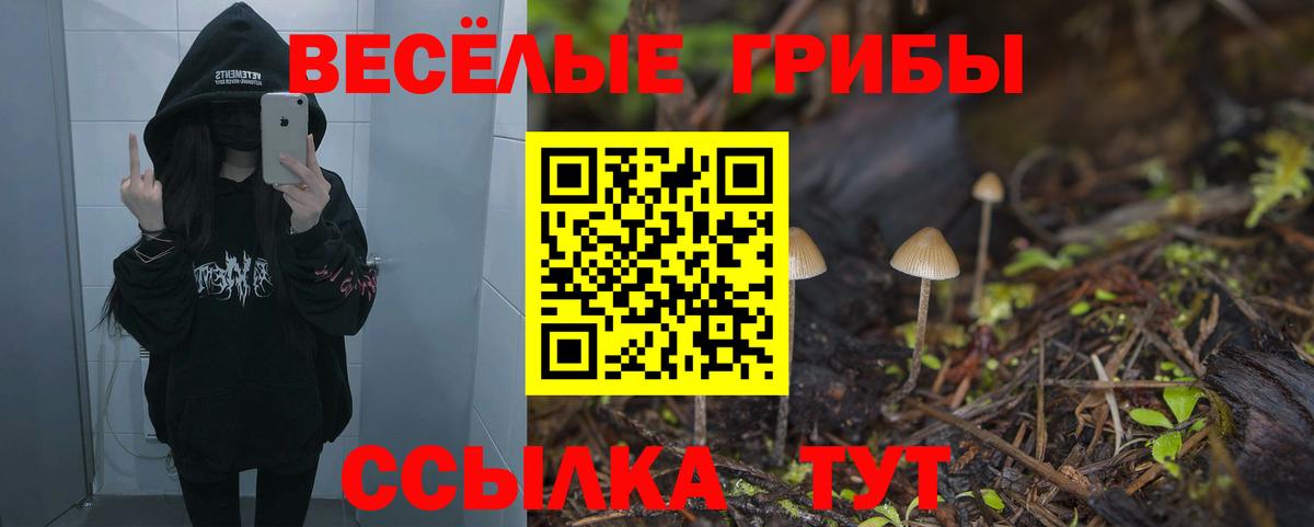 Галлюциногенные грибы Psilocybine cubensis  Вход с VPN  закладки  Псилоцибиновые грибы Magic Shrooms  Северск 